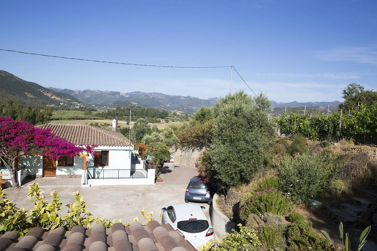 La Corte Degli Ulivi Cardedu